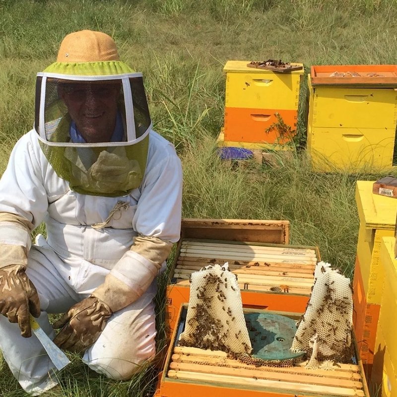 Russell tending to the hives