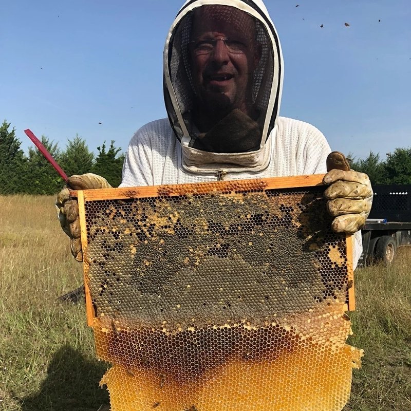 A honeycomb frame proudly on display
