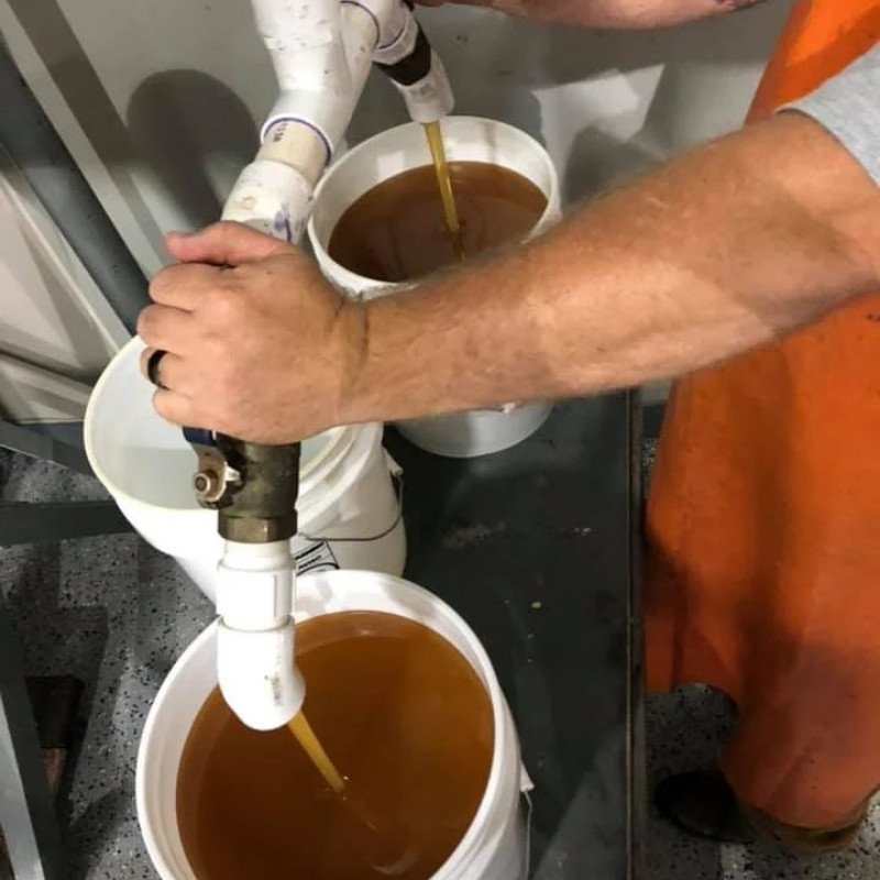 Golden honey pouring from the extractor into a bucket