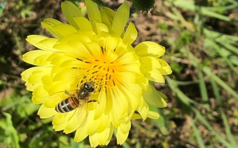 A LESSON FROM UNCLE TRAVIS