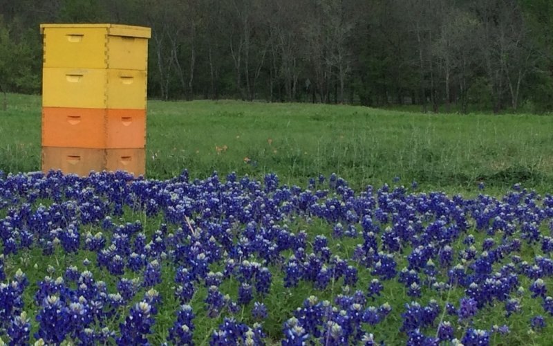 FINDING THE LAND THAT FOUND US