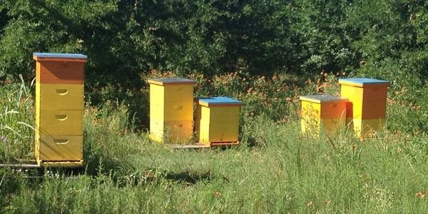 GET OUR MARKET SCHEDULE