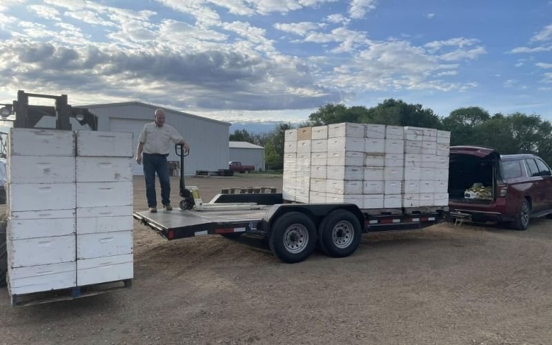 WHAT HAPPENS WHEN THEY COME HOME