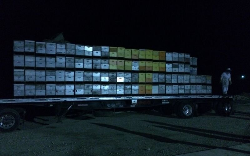 PREPARING FOR THE TRIP